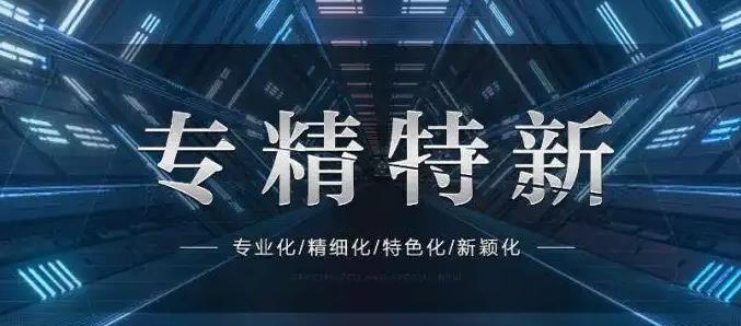 专精特新上市公司创新与发展报告（2022年）-深圳